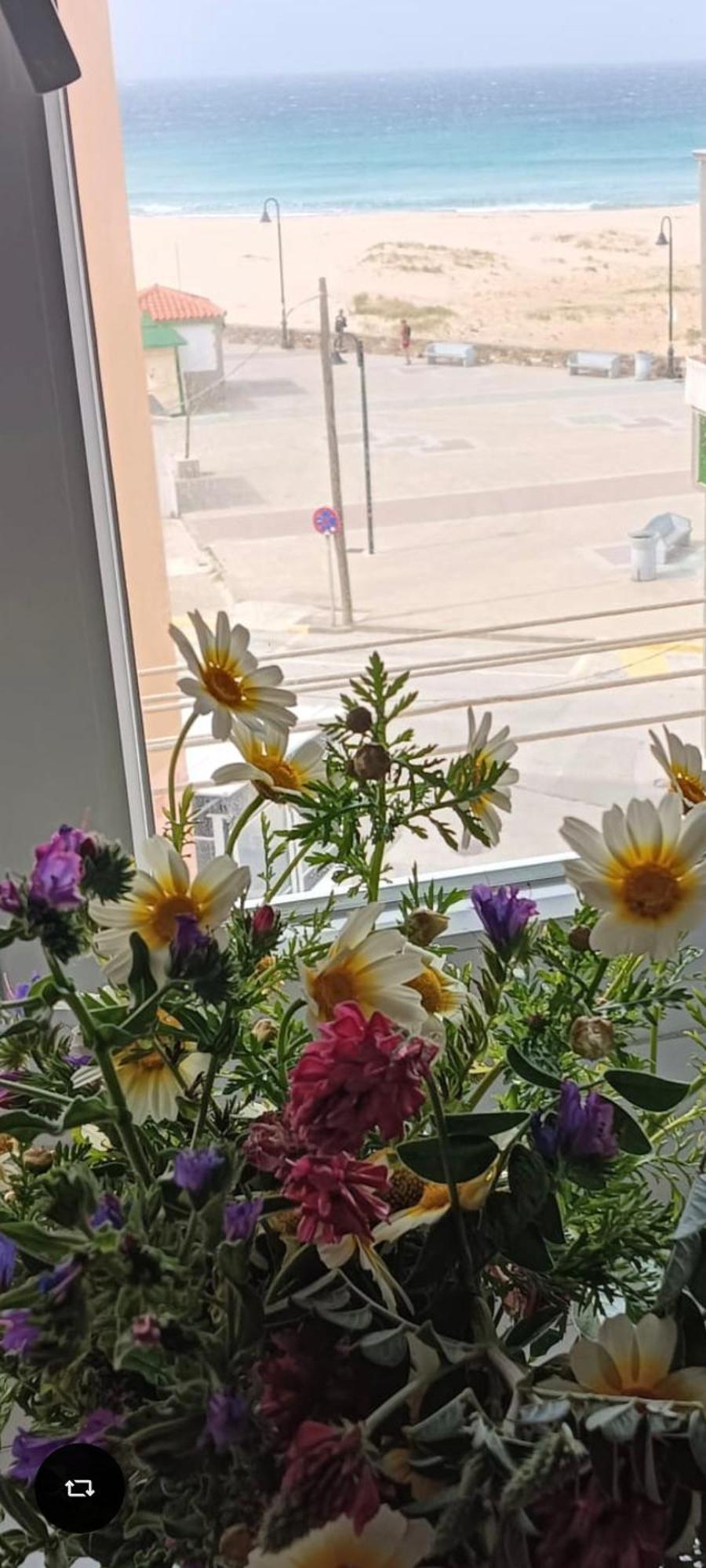Apartamento Lances Playa 塔里法 外观 照片